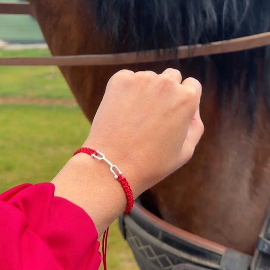 equestrian bracelet apyranke zirgai